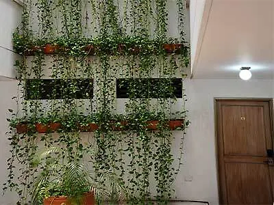 Hotel Don Jaime Cali
